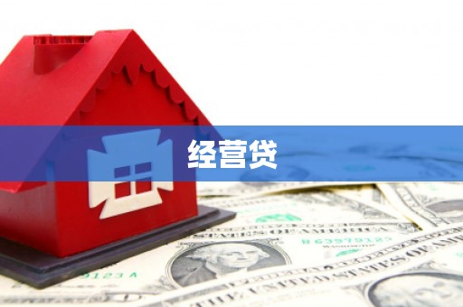 柳东经营贷